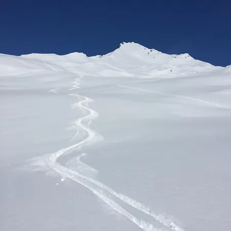 Perle Des Alpes *