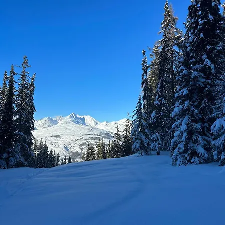 Perle Des Alpes Σαλέ Peisey-Nancroix